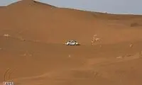گزارش تصویری از سافاری در کویر مرنجاب