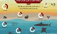 اینفوگرافی: این موجودات در معرض انقراض هستند