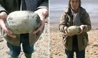 اجناس چندشی که مشتریان معروفی دارند!