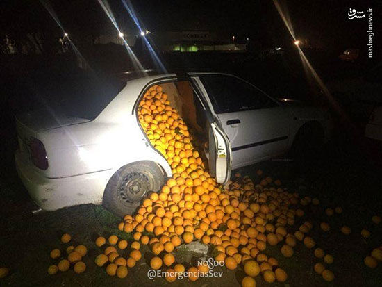 قاچاق ۴ تن پرتقال با خودرو