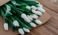 کار‌های کوچکی که بر آتش عشق‎ می‌افزاید