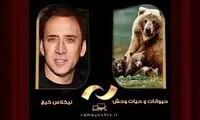 مرور آثار نیکلاس کیج در شبکه نمایش