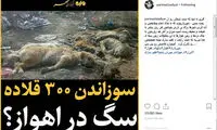 واکنش پریناز ایزدیار به سگ کشی اهواز