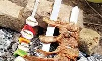 دعوت به مراسم شیشلیک پزی!