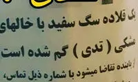 واکنش ضرغامی به شایعات پیرامون آملی لاریجانی