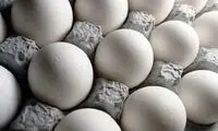 اختلاف قیمت تخم مرغ در بازار آزاد چقدر است؟