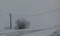 بارش برف در آبعلی