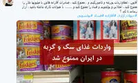 خشم منیژه حکمت از ممنوعیت واردات غذای سگ