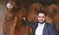 تبلیغ‌کننده مزایای نوشیدن ادرار شتر بازداشت شد