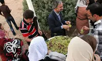 جشن باستانی «خوراکی‌ها» در ایران