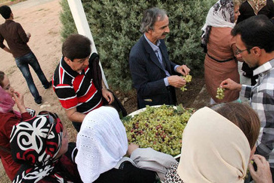 جشن باستانی «خوراکی‌ها» در ایران