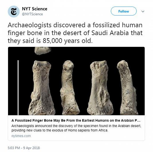 کشف فسیل ۸۵ هزار ساله انسان در عربستان