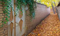 عکس‌هایی که بوی نابِ زندگی می‌دهند!