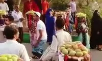 جشن شاد و رنگارنگ انبه در استان هرمزگان