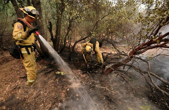 آتشی که ۱۰۰ هزار هکتار از کالیفرنیا را خاکستر کرد