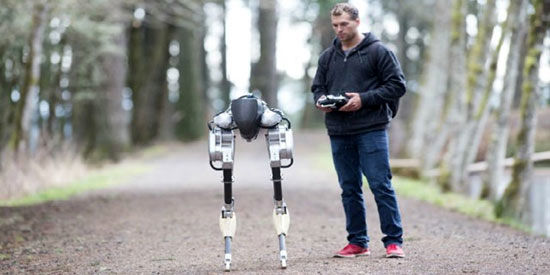 اولین گام‌های ربات‌های راه رونده در بازار