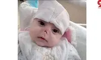 موش‌ها این نوزاد رها‌شده را جویدند