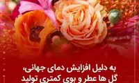 دانستنی‌های جالب (۲۵۳)