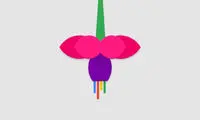 Fuchsia؛ نام سیستم عامل بعدی گوگل