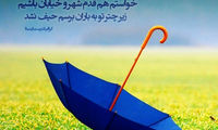 مینی شعر (262)