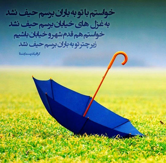 مینی شعر (262)