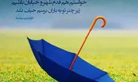 مینی شعر (262)