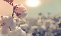 نکات ساده‌ای برای زنده ماندن در شرایط سخت