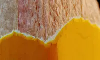 حدس بزنید این عکس‌ها مربوط به چه هستند؟