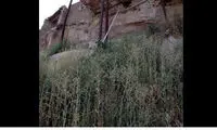 شاهکار معماری نوین در تبریز! +عکس