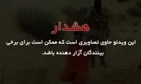 فیلم: ابتکار جدید داعش در جنایت! (18+)