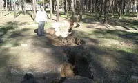 زنگ خطر برای تخت جمشید به صدا درآمد