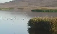 تالاب جازموریان جان دوباره گرفت