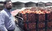 تفاوت ۷۰برابری قیمت گوجه داخل با خارج!