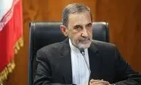 ولایتی به دکتر هاشمیان تذکر جدی داد