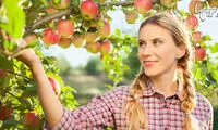 میوه‌های سالمی که باید در فصل پاییز بخورید