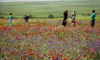 عکس: طبیعت اردبیل در خرداد ماه