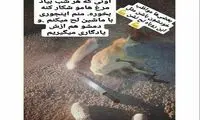 پیگردِ نشردهنده عکس روباه شکار شده