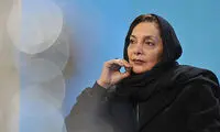 منیژه حکمت: دغدغه اجتماعی داریم انگ سیاسی می‌زنند