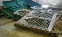 عکس: نبش قبر «حجر بن عدی» در سوریه