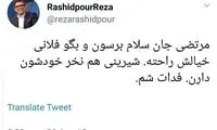 کنایه رشیدپور به گفتگوی تلویزیونی روحانی