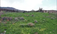 قبرستان اسرار آمیز روستای شمس آباد