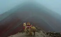 عکس‌های دیدنی برندگان مسابقه سفر نشنال جئوگرافیک