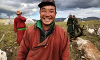زندگی در کنار گوزن های شمالی‎ +عکس