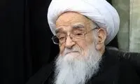 آیت‌الله صافی از ریاست دادگاه اتریش تشکر کرد
