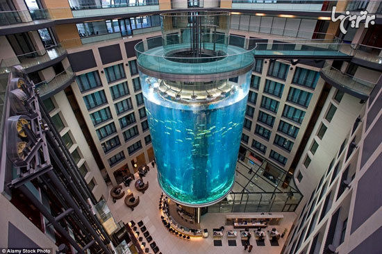 این ها هیجان انگیزترین آسانسورهای دنیا هستند
