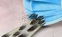 مسافرای عزیز، اشتباه می‌روید!