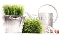 براي زيبايي باغچه‌تان در شب تلاش كنيد!