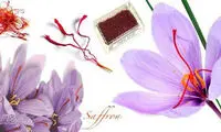 چگونه زعفران تقلبی را تشخیص دهیم؟