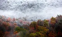 طبیعت زیبای چهاردانگه ساری