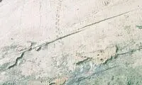 رد پای دایناسورها روی دیوار باستانی +عکس